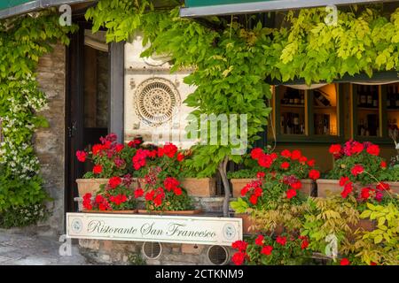 Assise, région de l'Ombrie, Italie. Géraniums en pot rouge décorant l'extérieur d'un restaurant. (À usage éditorial uniquement) Banque D'Images