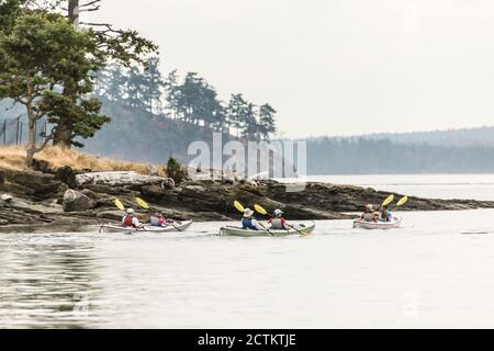 San Juan Island, Washington, États-Unis. Groupe de kayakistes dans la région de Puget Sound. Il y a beaucoup de différentes compagnies de location de kayak sur l'île de San Juan, Banque D'Images