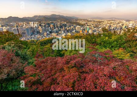 Vue sur la ville de Séoul depuis le sommet de Namsan Banque D'Images