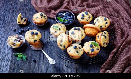 Muffins aux myrtilles cuits avec des myrtilles fraîches sur une grille de refroidissement noire avec de la menthe fraîche sur un fond de bois rustique foncé, vue de dessus, gros plan Banque D'Images