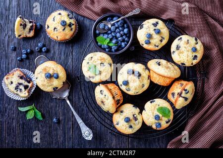 Muffins aux myrtilles cuits avec des myrtilles fraîches sur une grille de refroidissement noire avec de la menthe fraîche sur un fond de bois rustique foncé, vue de dessus, gros plan Banque D'Images