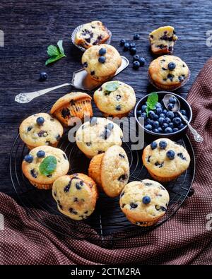 Muffins aux myrtilles cuits avec des myrtilles fraîches sur une grille de refroidissement noire avec de la menthe fraîche sur un fond de bois rustique foncé, vue de dessus, gros plan Banque D'Images