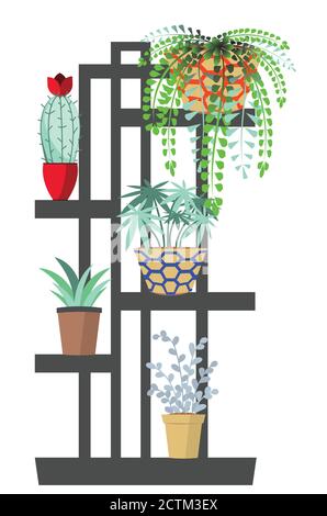 Collection de plantes de maison résumé illustration sur fond blanc. Illustration de Vecteur