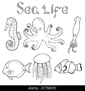 Sea Life Fish Graphic art noir blanc isolé illustration vecteur Illustration de Vecteur
