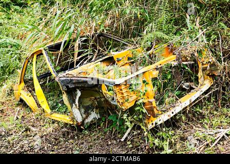 Vue rapprochée d'un châssis de voiture jaune abandonné à côté d'une route, entouré de plantes et d'herbe, province de montagne, Philippines, Asie Banque D'Images