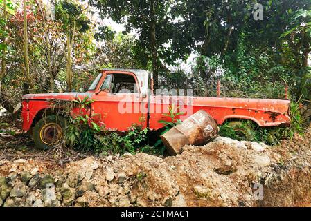 Vue rapprochée d'un vieux pick-up rouge abandonné à côté d'une route, entouré de plantes et d'un tambour à essence rouille, province de Mountain, Philippines Banque D'Images