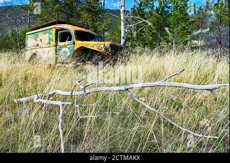 Une ancienne épave rouillée d'un camion de l'époque de la guerre a été laissée dans une forêt et une zone d'herbe près de Chilco River, en Colombie-Britannique, au Canada, en Amérique du Nord Banque D'Images