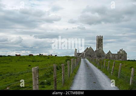 Ruines du couvent des Frères Ross Errilly dans le comté de Galway, en Irlande Banque D'Images