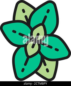 Icône représentant une ligne de couleur plate d'origan, de menthe et de basilic. Isolé sur fond blanc Illustration de Vecteur