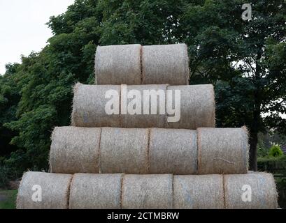 Une pile de balles de foin dans un champ de Saltfleet, Lincolnshire, lors d'une journée de septembre nuageux Banque D'Images