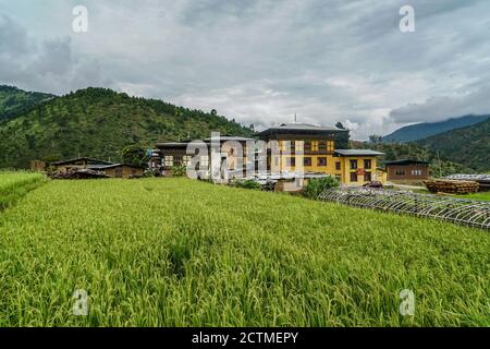 Village traditionnel et paysage rizicole à Punakha, Bhoutan Banque D'Images