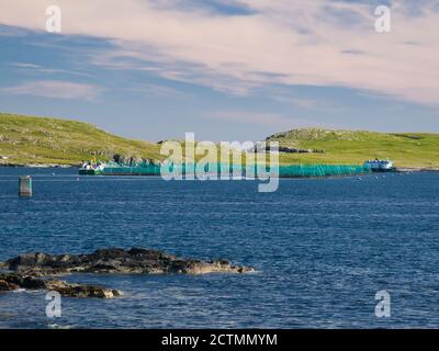 Aquaculture / pisciculture à Baltasound sur l'île de Unst à Shetland - un archipel d'îles dans le au nord du Royaume-Uni Banque D'Images