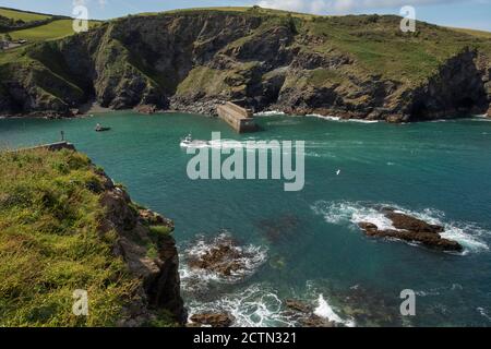 Bateau de pêche entrant dans le port de Port Issac, Cornwall, Angleterre, août Banque D'Images