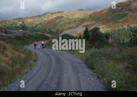 Cyclistes aux couleurs vives qui profitent du vélo de gravier dans le parc forestier de Galloway, en Écosse Banque D'Images