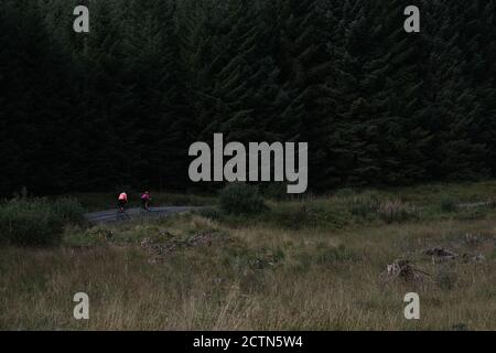 Cyclistes aux couleurs vives qui profitent du vélo de gravier dans le parc forestier de Galloway, en Écosse Banque D'Images