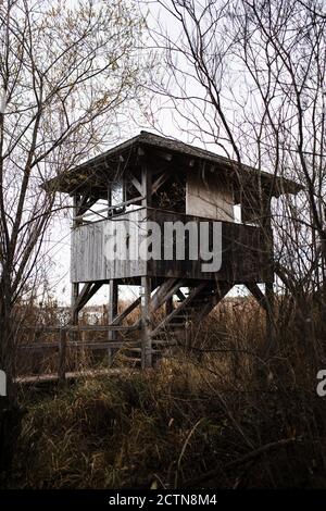 Faible angle de petit hangar de bois d'œuvre vieilli sur les montants situés parmi les arbres et les buissons sans feuilles dans la campagne d'automne Banque D'Images