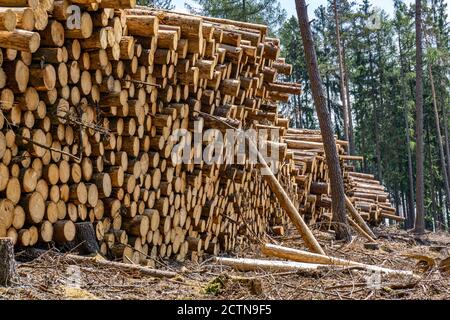 Grumes empilées d'escupes à coque dans le Taunus (Allemagne) près Oberursel Banque D'Images