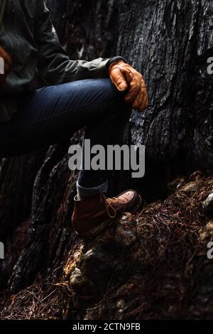 Vue latérale de Crop anonyme mâle explorer en vêtements d'extérieur debout dans les bois près d'un immense arbre en voyageant en automne Banque D'Images