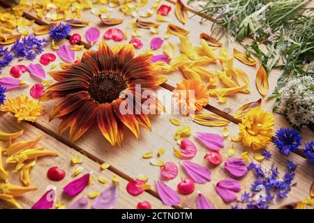 Gros plan de boutons de fleurs parfumés et de pétales délicats disposés sur table rustique en bois Banque D'Images