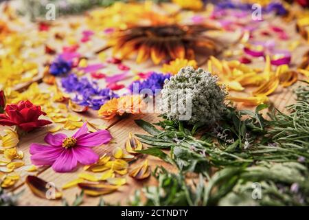 Gros plan de boutons de fleurs parfumés et de pétales délicats disposés sur table rustique en bois Banque D'Images