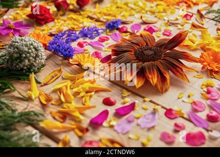 Gros plan de boutons de fleurs parfumés et de pétales délicats disposés sur table rustique en bois Banque D'Images