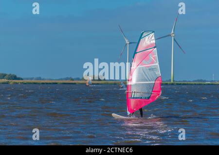 Surf sur Bottscherter Voir ou Lac Bottschlott dans les marais, Dagebüll, Frise du Nord, Etat fédéral Schleswig-Holstein, Allemagne du Nord Banque D'Images