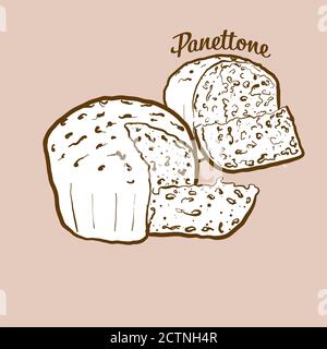 Illustration de pain Panettone dessiné à la main. Pain sucré, généralement connu en Italie. Série de mises en plan vectorielles. Illustration de Vecteur