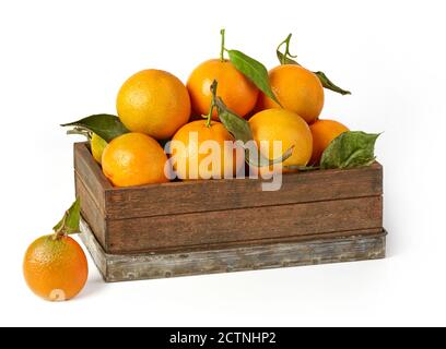 Mandarines dans une caisse isolée sur blanc Banque D'Images