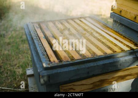 Ruche avec des nids d'abeilles en bois située dans l'apiaire dans la campagne dans l'été par beau temps Banque D'Images