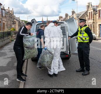 Highlander Hotel, 75 West Church Street, Buckie, Moray, Royaume-Uni. 23 septembre 2020. ROYAUME-UNI. Il s'agit de la police qui retire toutes les usines de cannabis, ensachées et étiquetées pour preuve de l'hôtel dans lequel l'usine de cannabis a été découverte le dimanche 20 septembre 2020 par la police Ecosse. Credit: JASPERIMAGE / Alamy Live News Banque D'Images