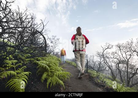 Deux touristes avec des sacs à dos marche au sommet du volcan en acide nuages et arbres morts Banque D'Images