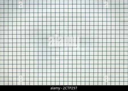 Texture détaillée du motif de papier mathématique vierge comme arrière-plan. Banque D'Images