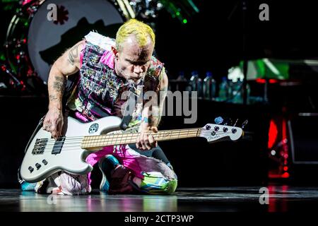 Herning, Danemark. 16 novembre 2016. Le groupe de rock américain Red Hot Chili Peppers donne un concert à Boxen à Herning. Ici, le bassiste Flea est vu en direct sur scène. (Crédit photo: Gonzales photo - Lasse Lagoni). Banque D'Images