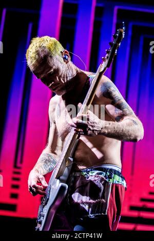 Herning, Danemark. 16 novembre 2016. Le groupe de rock américain Red Hot Chili Peppers donne un concert à Boxen à Herning. Ici, le bassiste Flea est vu en direct sur scène. (Crédit photo: Gonzales photo - Lasse Lagoni). Banque D'Images