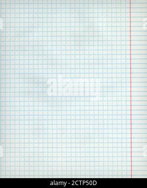 Texture de feuille de papier mathématique vierge détaillée avec marges. Banque D'Images