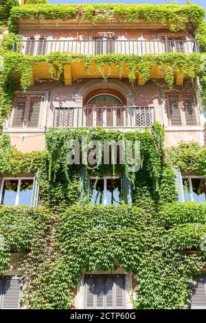 ROME, ITALIE - 2014 AOÛT 18. Balcons pleins de plantes à Rome. Banque D'Images