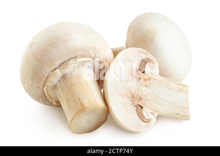 Groupe de champignons de deux boutons et demi isolés sur blanc. Banque D'Images