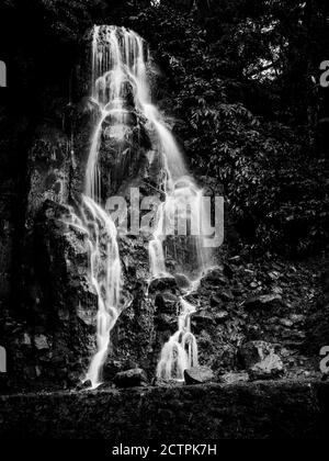 Photo en noir et blanc à longue exposition de la cascade de Vau da Noiva, île de Sao Miguel, Açores, Portugal. Banque D'Images