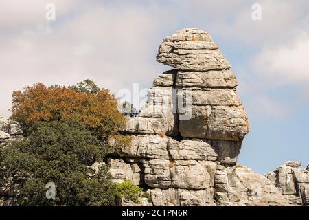 Torcal Espagne, Antequera, réserve naturelle de montagne karstique, avec des paysages karstiques impressionnants et d'étranges formations calcaires, Andalousie. Banque D'Images