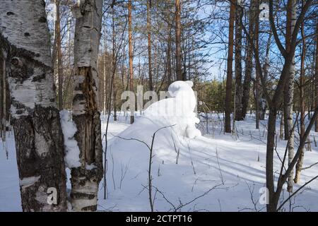 Une dérive de neige semblable à un animal, un vison ou un furet dans la forêt par un beau jour d'hiver. L'hiver, une promenade dans la forêt. Concept de voyage. Banque D'Images