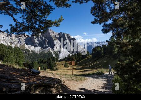 Une marchette regarde en arrière pendant qu'elle fait son chemin le long d'une piste de montagne avec des vues spectaculaires sur les Dolomites tout autour, Val Gardena, Italie Banque D'Images