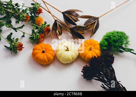 Arrangement de citrouilles, et de fleurs sur fond blanc Banque D'Images