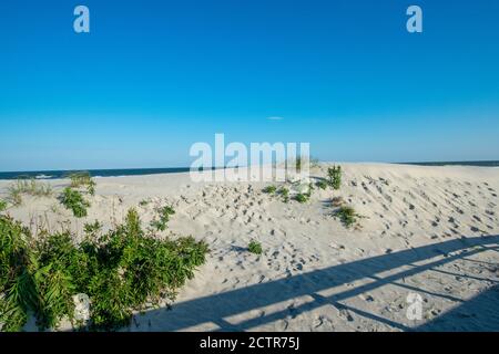 Une dune de sable à Th eBeach dans Wildwood New Jersey Avec des plantes vertes et une ombre d'une clôture Il Banque D'Images