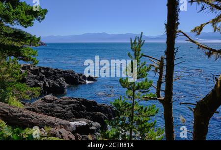 Rivage sauvage dans le parc régional de East Sooke le long du sentier de la côte. Au-dessus du détroit de Juan de Fuca se trouvent les montagnes olympiques de l'État de Washington Banque D'Images