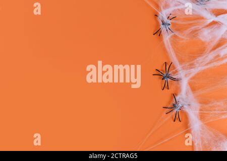 Toile d'araignée et araignées en plastique sur le côté de l'Halloween orange arrière-plan avec espace de copie vide Banque D'Images