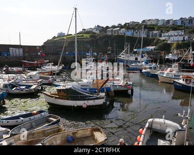 Mevagissey est un charmant village portuaire qui était autrefois le centre de la pêche dans les vergers de Cornouailles et qui possède encore un port en activité, avec quelques douzaines de petits bateaux de pêche. Il a une tradition de construction de bateau datant de 1745. Beaucoup des vieux bâtiments, construits en rafle et en ardoise, témoignent d'une époque où les grands bancs de chards étaient la subsistance de tout le village. Des excursions de pêche peuvent être effectuées depuis le port et vous trouverez un ferry pour le port voisin de Fowey. Banque D'Images