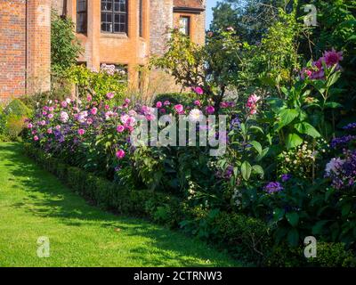 Chenies Manor House et jardin dans un après-midi ensoleillé de septembre 2020. Dahlias colorés, bordures de plantes herbacées, pelouse. Banque D'Images