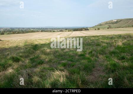 The westbury White Horse, Wiltshire, Royaume-Uni Banque D'Images