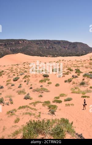 Kanab, UT. ÉTATS-UNIS 8/12/2020. Parc national Coral Pink Sand Dunes. Natures handiwork forme les dunes par érosion de grès Navajo de couleur rose. Banque D'Images