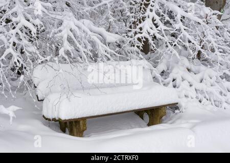 Snowy bench near Onstmettingen on the Swabian Alps, Zollernalb District, Baden-Wuerttemberg, Germany Stock Photo